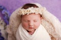 Newborn baby girl - 12 days old Royalty Free Stock Photo