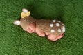 Newborn Baby Girl in Fawn / Deer Costume Royalty Free Stock Photo