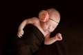 Newborn Baby Girl with Flower Headband Royalty Free Stock Photo