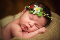 Newborn baby girl has sweet dreams in strawberries Royalty Free Stock Photo