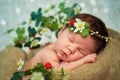 Newborn baby girl has sweet dreams in strawberries Royalty Free Stock Photo