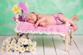 Newborn baby girl in a knitted hare costume sleeping on a wooden crib birch Royalty Free Stock Photo