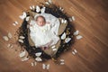 Newborn Baby Girl Lying In A Nest