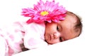 Newborn baby girl peaceful with a big pink flower Royalty Free Stock Photo