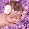 Newborn Baby Girl with Pink Flower Royalty Free Stock Photo