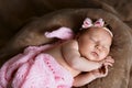 Newborn baby girl sleeping cute, covered with soft pink scarf, neatly folded under a pen with a small head with a pink bow, set Royalty Free Stock Photo