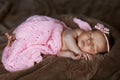 Newborn baby girl sleeping cute, covered with soft pink scarf, neatly folded under a pen with a small head with a pink bow, set Royalty Free Stock Photo