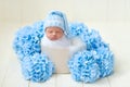 A newborn baby girl is sleeping sweetly for two weeks in a basket with white fur and blue flowers hydrangeas