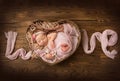 A newborn baby girl sleeps in a pink wrap with a pink flower on her head. Royalty Free Stock Photo