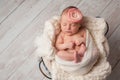 Newborn Baby Girl Wearing a Flower Headband Royalty Free Stock Photo