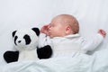 Newborn baby girl - 4 weeks - sleeping together with panda teddy bear Royalty Free Stock Photo