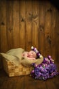 Newborn baby girl with a wreath in a wicker basket with a bouquet of purple wild flowers