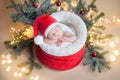 Newborn baby in a gnome`s crimson hat in Santa`s bag, around Christmas tree twigs and Christmas balls Royalty Free Stock Photo