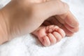 Newborn baby hand Royalty Free Stock Photo