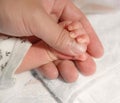 Newborn baby hand Royalty Free Stock Photo
