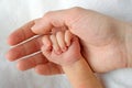 Newborn baby hand Royalty Free Stock Photo