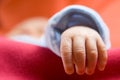 Newborn baby hand (Close-up, soft focus)