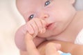 Newborn baby hand holding finger of mother Royalty Free Stock Photo