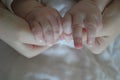 Newborn Baby Hand reaching for an adult hand - close-up Royalty Free Stock Photo