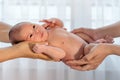 Newborn baby in hands of parent Royalty Free Stock Photo