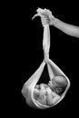 Newborn baby hanging in a sling Royalty Free Stock Photo