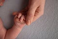 The newborn baby has a firm grip on the parent& x27;s finger after birth. Close-up little hand of child and palm of mother Royalty Free Stock Photo