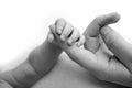 The newborn baby has a firm grip on the parent& x27;s finger after birth. Close-up little hand of child and palm of mother Royalty Free Stock Photo