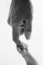 The newborn baby has a firm grip on the parent& x27;s finger after birth. A newborn holds on to mom& x27;s, dad& x27;s