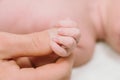 Newborn baby holding finger of mother / father. Happy Family and Baby protection concept. Mom and dad holding the hand of their Royalty Free Stock Photo