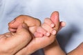 A newborn baby holding her mother& x27;s index finger. White background Royalty Free Stock Photo