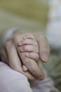 Newborn baby holding his mothers hand Royalty Free Stock Photo