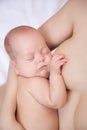 Newborn baby holding mom's breast and sleeping Royalty Free Stock Photo