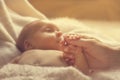 Newborn Baby Holding Mother Hand, New Born Child and Parent Royalty Free Stock Photo