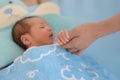 Newborn Baby Holding Mothers Hand