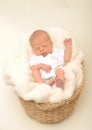 Newborn baby or infant sleeping in basket Royalty Free Stock Photo