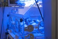 Newborn baby inside incubator