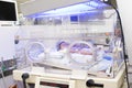 Newborn baby inside incubator Royalty Free Stock Photo