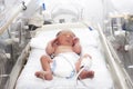 Newborn baby inside incubator Royalty Free Stock Photo