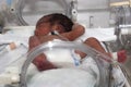 Newborn baby inside incubator Royalty Free Stock Photo
