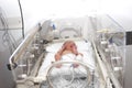 Newborn baby inside incubator Royalty Free Stock Photo