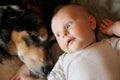 Newborn Baby Laying with Pet German Shepherd Dog Royalty Free Stock Photo