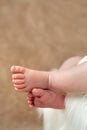 Newborn baby legs. Closeup picture with space for text