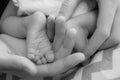 Newborn baby legs in mother`s hands, the concept of motherhood, love, child car Royalty Free Stock Photo