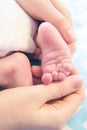 Newborn baby legs in mother`s hands, the concept of motherhood Royalty Free Stock Photo