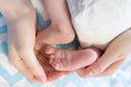 Newborn baby legs in mother`s hands folded by heart, the concept of motherhood Royalty Free Stock Photo