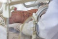 A newborn baby lies in boxes in the hospital Royalty Free Stock Photo