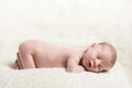 Newborn Baby Male Sleeping Peacefully on Blanket Royalty Free Stock Photo