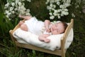 Newborn baby outside in the grass