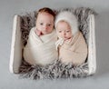 Newborn baby portrait Royalty Free Stock Photo