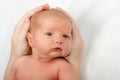 Newborn baby portrait Royalty Free Stock Photo